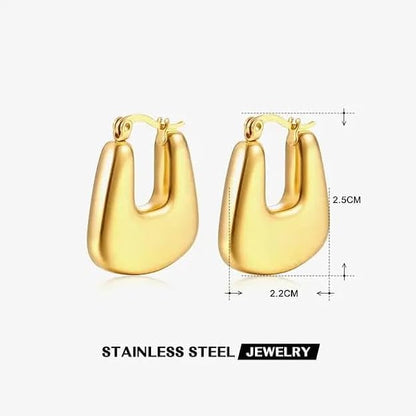 Stainless steel Gold plated Earrings