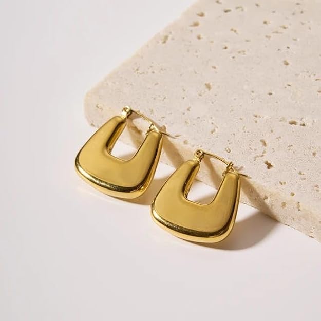 Stainless steel Gold plated Earrings