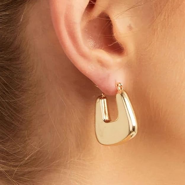 Stainless steel Gold plated Earrings