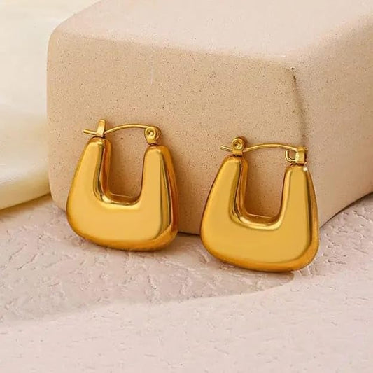 Stainless steel Gold plated Earrings